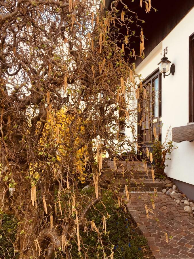 Hegau-Lounge-Bodensee Muhlhausen-Ehingen Экстерьер фото