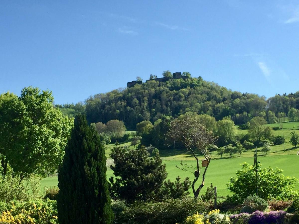 Hegau-Lounge-Bodensee Muhlhausen-Ehingen Экстерьер фото